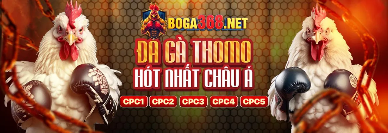 Giao diện tổng quan nền tảng Yo88 Tài Xỉu